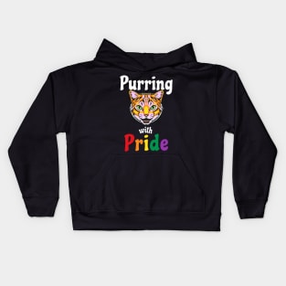 Purring With Gay Pride LGBTQIA Lesbian Transgender Queer Cat Kids Hoodie